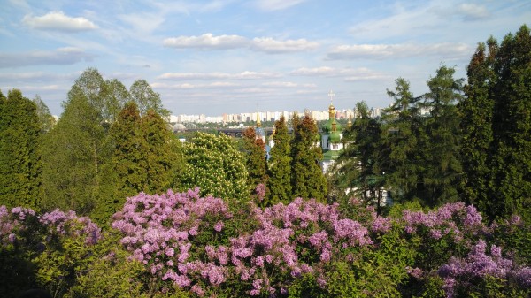 Ботанический сад им.Гришко