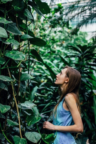 Jungle adventure
