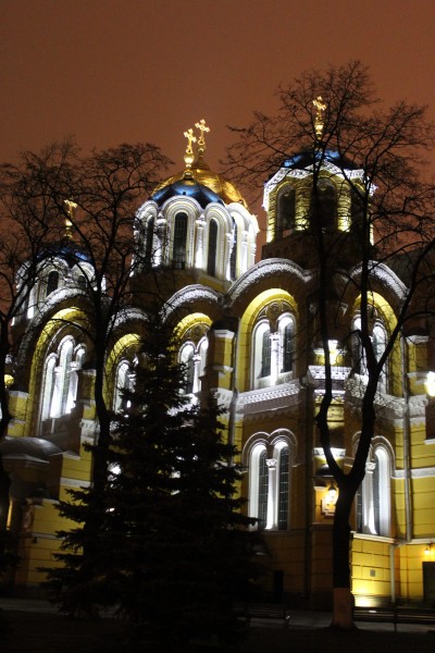 Лише ніч і тиша навкруги. Володимирський вслухається і слуха...